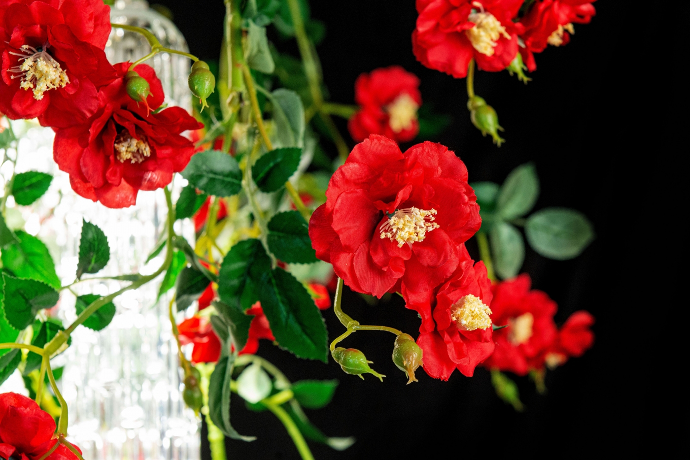 1624623735-8880390.84_WILD RED ROSES_D65_2177